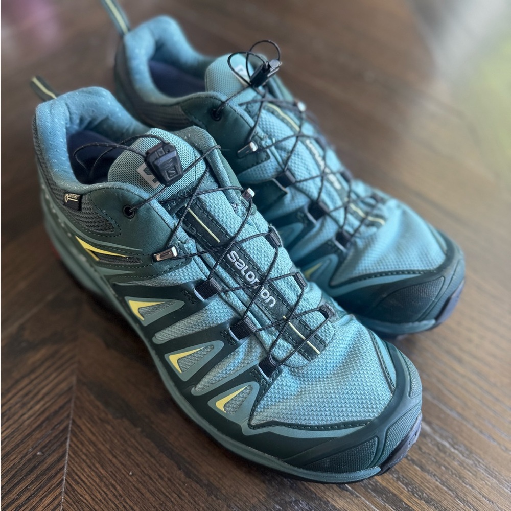 Salomon Hiking Shoes